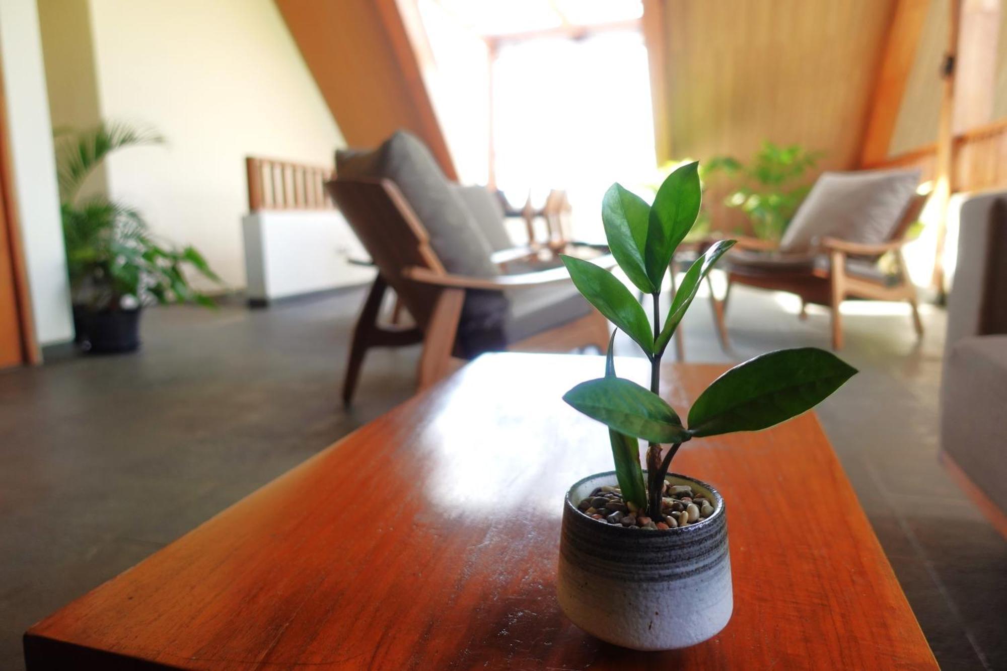 The Vinaya Boutique Hotel Ubud Esterno foto